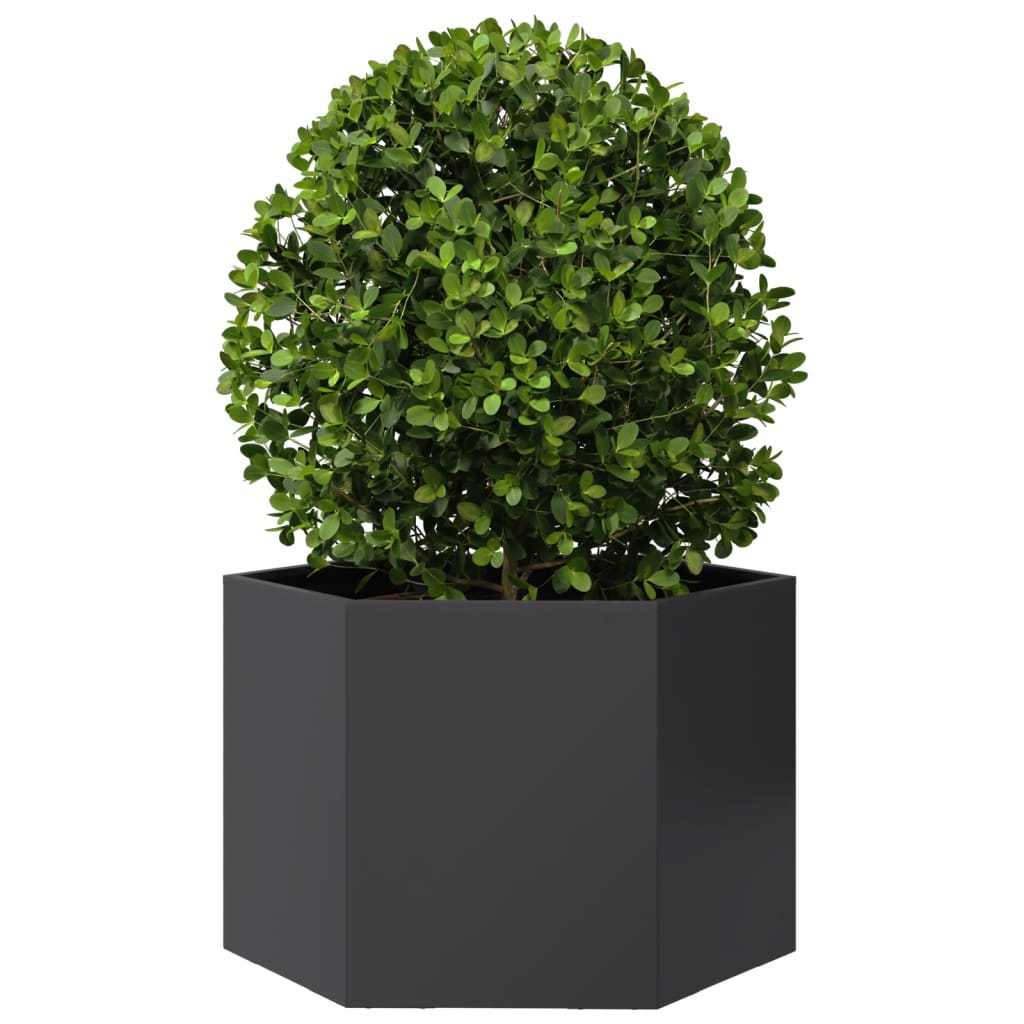 Vidaxx plantekasse sekskant 69x60x45 cm stål sort