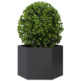 Vidaxx plantekasse sekskant 69x60x45 cm stål sort