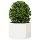 Vidaxx plantekasse sekskant 69x60x45 cm stål hvid
