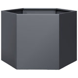 Vidaxx plantekasse sekskant 69x60x45 cm stål antracit