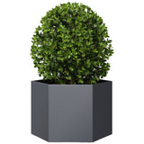 Vidaxx plantekasse sekskant 69x60x45 cm stål antracit
