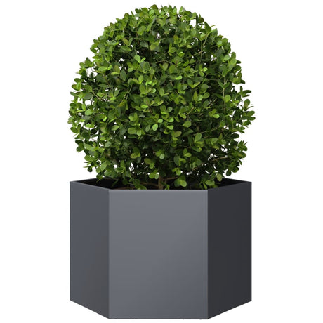 Vidaxx plantekasse sekskant 69x60x45 cm stål antracit