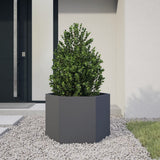 Vidaxx plantekasse sekskant 69x60x45 cm stål antracit