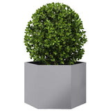 Vidaxx plantekasse sekskant 69x60x45 cm galvaniseret stål