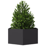 Vidaxx plantekasse sekskant 104x90x45 cm stål sort