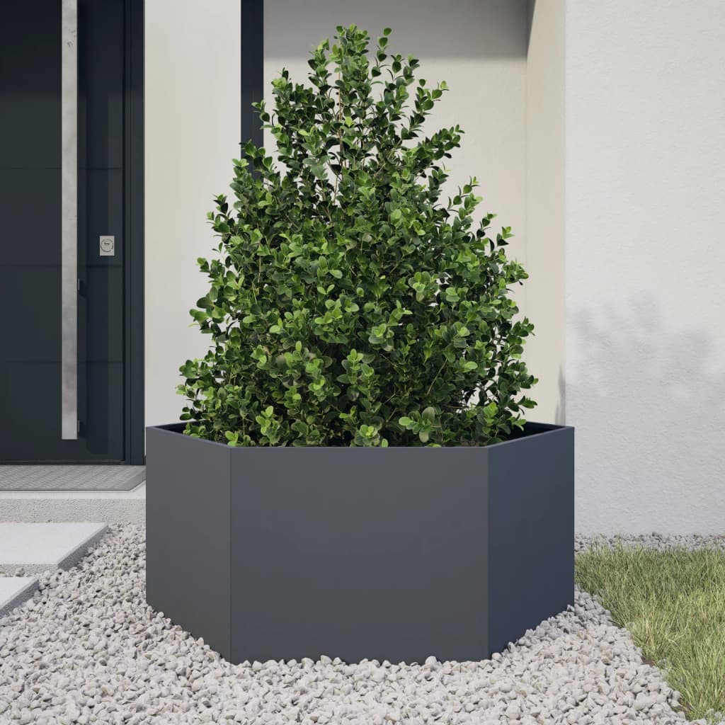 Vidaxx plantekasse sekskant 104x90x45 cm stål antracit