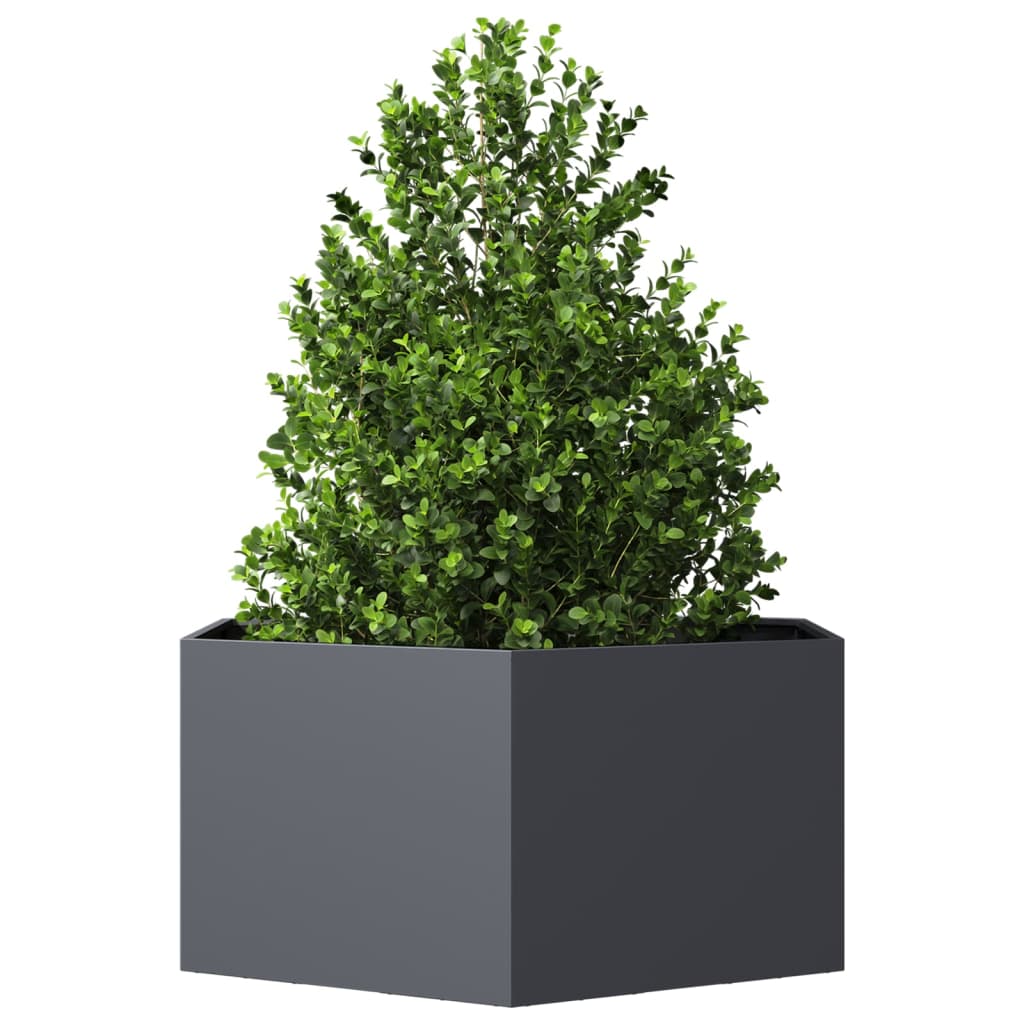 Vidaxx plantekasse sekskant 104x90x45 cm stål antracit