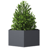 Vidaxx plantekasse sekskant 104x90x45 cm stål antracit