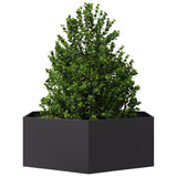 Vidaxx plantekasse sekskant 138x120x45 cm stål sort