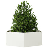 Vidaxx plantekasse sekskant 138x120x45 cm stål hvid
