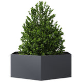 Vidaxx plantekasse sekskant 138x120x45 cm stål antracit