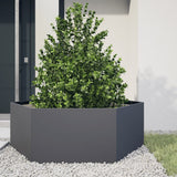 Vidaxx plantekasse sekskant 138x120x45 cm stål antracit