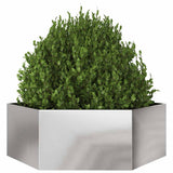 Vidaxx plantekasse sekskant 138x120x45 cm rustfrit stål