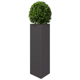 Vidaxx plantekasse trekant 30x26x75 cm stål sort