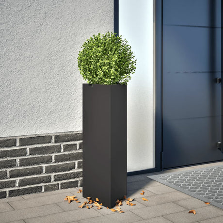Vidaxx plantekasse trekant 30x26x75 cm stål sort