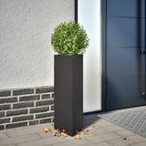Vidaxx plantekasser 2 stk trekant 30x26x75 cm stål sort