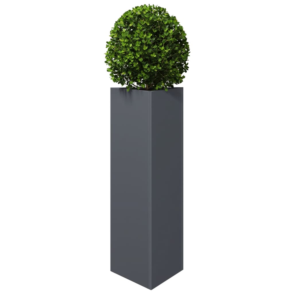Vidaxx plantekasse trekant 30x26x75 cm stål antracit