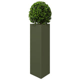 Vidaxx plantekasse trekant 30x26x75 cm stål olivengrøn