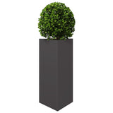 Vidaxx plantekasse trekant 40x34,5x70 cm stål sort