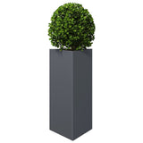 Vidaxx plantekasse trekant 40x34,5x70 cm stål antracit