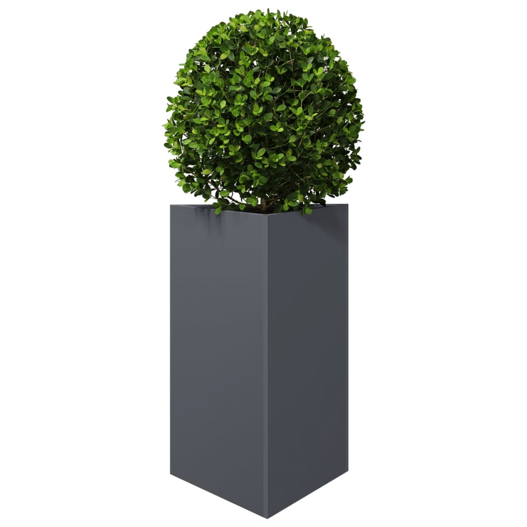 Vidaxx plantekasse trekant 50x43x75 cm stål antracit
