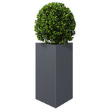 Vidaxx plantekasse trekant 50x43x75 cm stål antracit