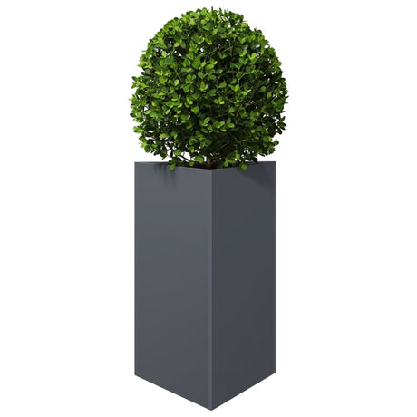 Vidaxx plantekasse trekant 50x43x75 cm stål antracit