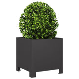 Vidaxx plantekasse 30x30x30 cm stål sort