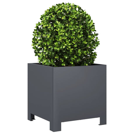 Vidaxx plantekasse 30x30x30 cm stål antracit