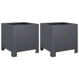 Vidaxx plantekasser 2 stk 30x30x30 cm stål antracit