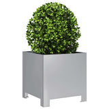 Vidaxx plantekasse 30x30x30 cm galvaniseret stål