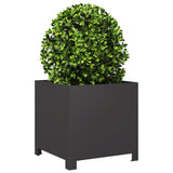 Vidaxx plantekasse 40x40x40 cm stål sort