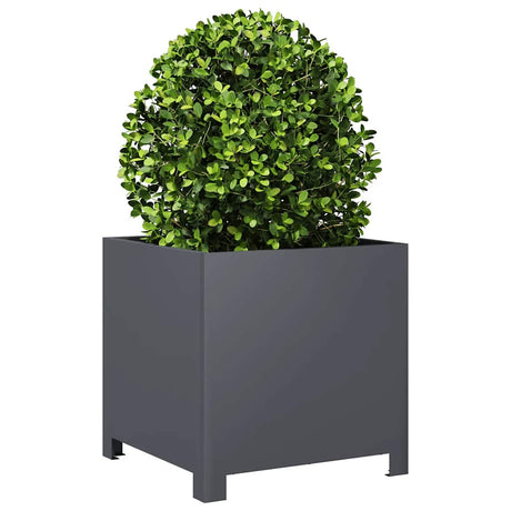 Vidaxx plantekasse 40x40x40 cm stål antracit
