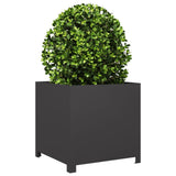 Vidaxx plantekasse 50x50x50 cm stål sort