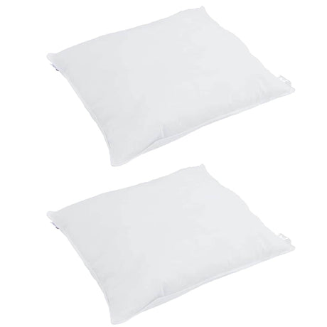 Vidaxl hoofdkussen met kussen 2 pcs wit 65 x 65 cm veren
