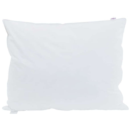 Vidaxl hoofdkussen met kussen 2 pcs wit 60 x 80 cm veren