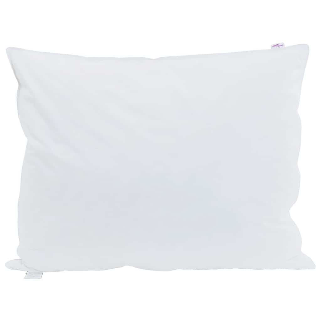 Vidaxl hoofdkussen met kussen 2 pcs wit 70 x 90 cm veren