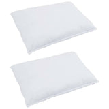 Vidaxl hoofdkussen met kussen 2 pcs wit 70 x 90 cm veren