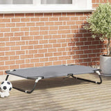 Vidaxl hondenbed lichtgrijs 105 x 65 x 18 cm staal