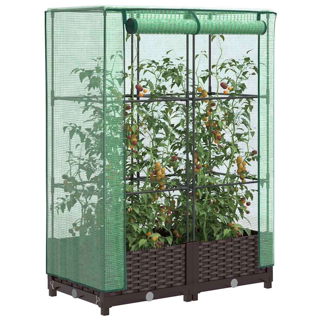 Vidaxx plantekasse hævet med drivhusdæksel 80x40x123 cm rattan look