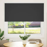Vidaxl rolgordijn verduisterend 165x175 cm stofbreedte 161,6 cm zwart