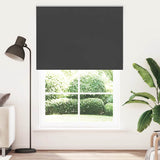 Vidaxl rolgordijn verduisterend 160x210 cm stofbreedte 156,6 cm zwart