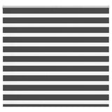 Vidaxx zebra rullegardin 155x100 cm stofbredde 150,9 cm sort