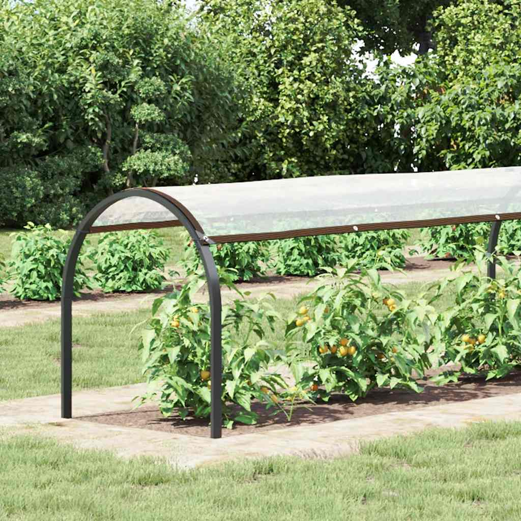 Vidaxx transparent presenning med gennemføringer 1x6 m polyethylen
