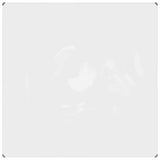 Vidaxx transparent betræk med øjne 2x2 m PVC