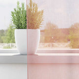 Vidaxl gordijnen voile met doorvoertules 2 st 140x225 cm lichtroze