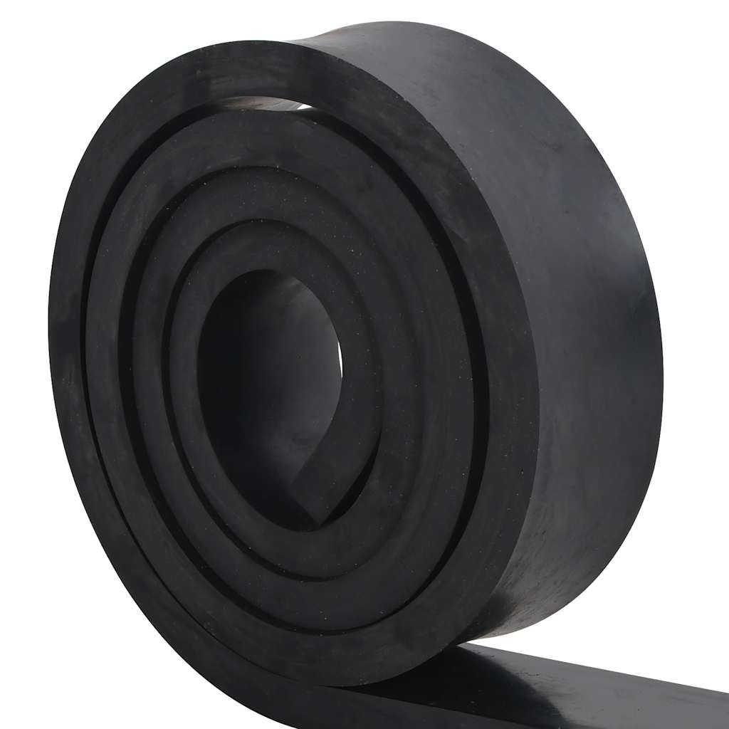 VidaXL gummikant til sneplov 250x8x2 cm sort