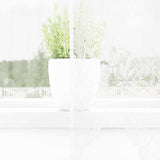 Vidaxl kantgordijn met gordijnen bloemen wit 100 x 300 cm polyester