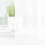Vidaxl voile gordijn met gordijnen 2 pcs wit 245 x 140 cm polyester