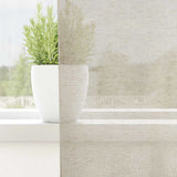 Vidaxl voile gordijn met gordijnen 2 pcs zand 245 x 140 cm polyester